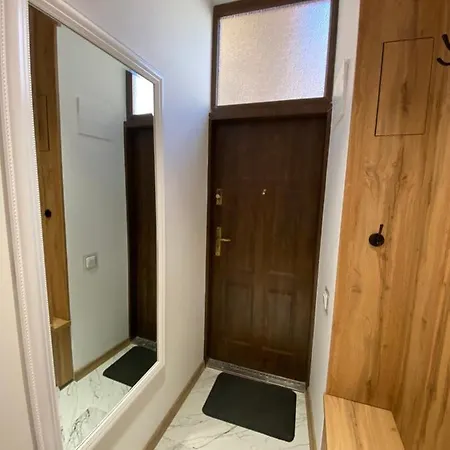 Apartment квартира-студія подобово на вулиці городоцька 102 *