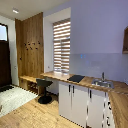 Apartment квартира-студія подобово на вулиці городоцька 102 *