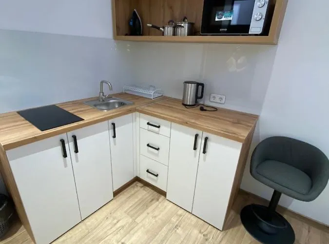 квартира-студія подобово на вулиці городоцька 102 * リヴィウ