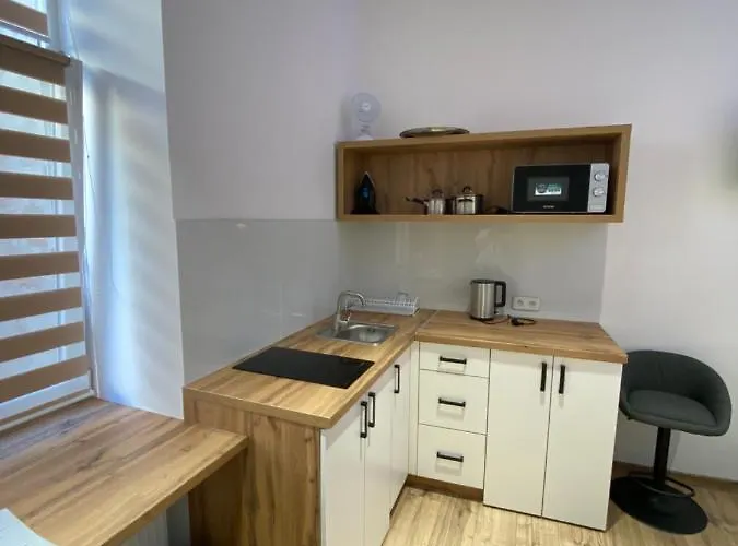 квартира-студія подобово на вулиці городоцька 102 *